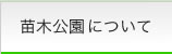 苗木公園について